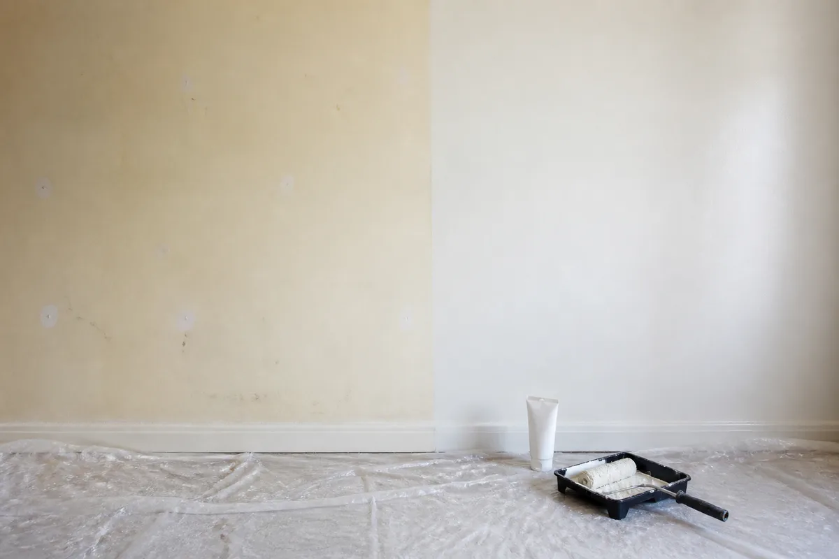 Mur intérieur clair partiellement repeint, rouleau et bâche de protection